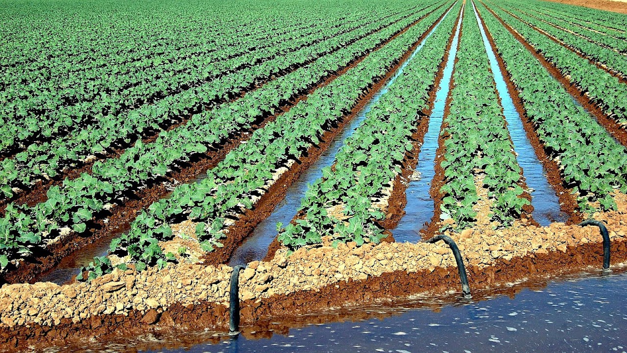 Irrigation Allowed Farms To Be Rivers
