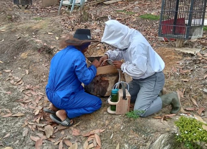 Bersama Pertagas Optimalkan Ruang Terbuka Hijau, Masyarakat Kandis Panen Perdana Madu Trigona