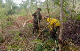 Sektor 3 Citarum Harum Melaksanakan Pendataan Pohon di Lahan Kritis Dengan Mengecat Pohon Bertulisan "C3"