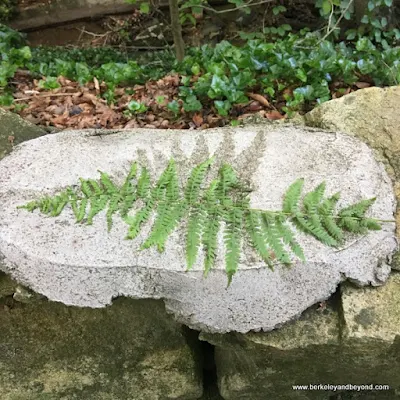 stone engraved with fern on Sunrise Carriage Trail in Charleston, West Virginia