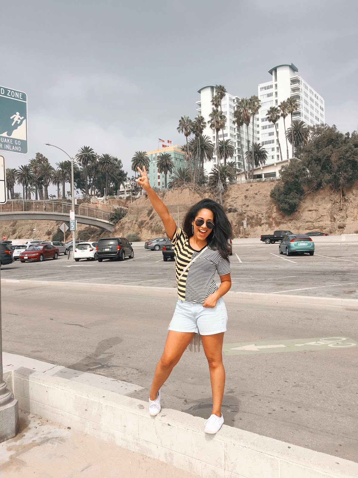 large-palm-trees-santa-monica