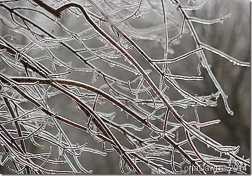 Ice Storm5 2014