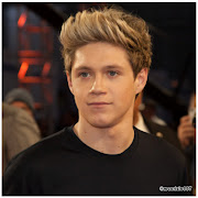 One Direction forever: Niall Horan (niall horan one direction )