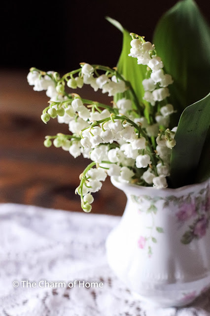 Lily of the Valley