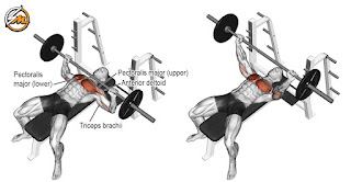 The 5 Best Upper Chest Exercises for Powerful Pecs
