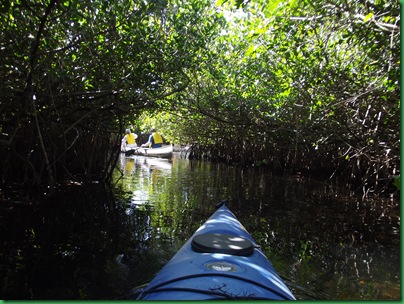 Turner River Paddle 1 (25)