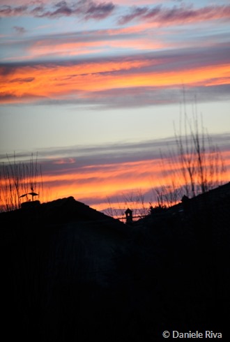 Alba