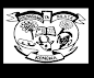 Kongwa District Council 16 New Job Vacancies 