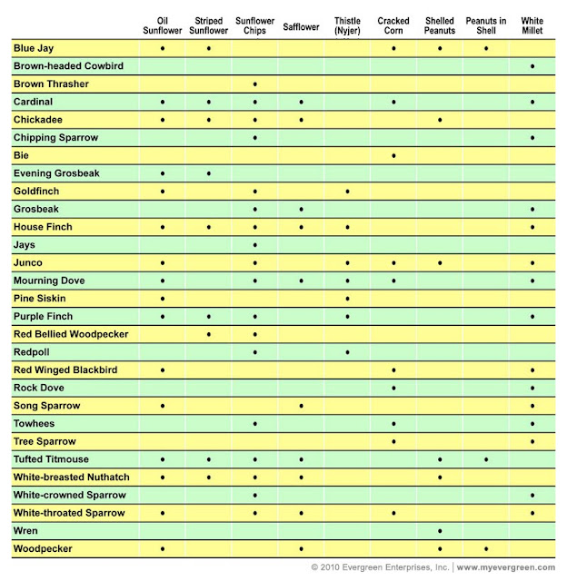 Bird Seeds Types