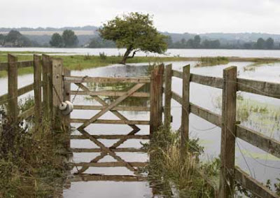 Aristotle Lane gate onto flooded Port Meadow