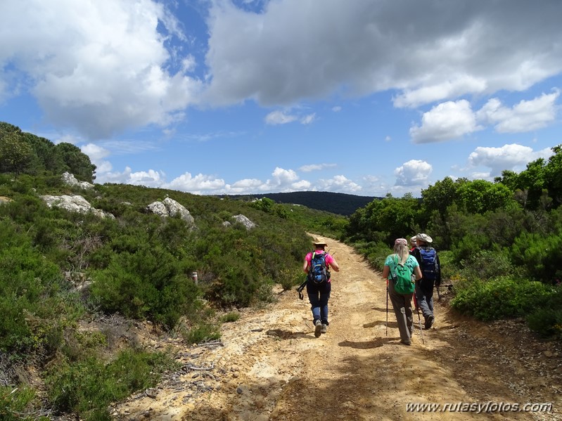 El Colmenar - Camino de los Arrieros - Puerto de los Peñones - Puerto de la Venta - Garganta de Los Charcones