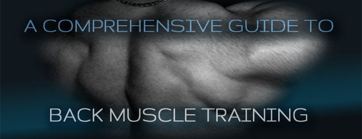Image of a trained back and a text that says A Comprehensive Guide to Back Muscle Training