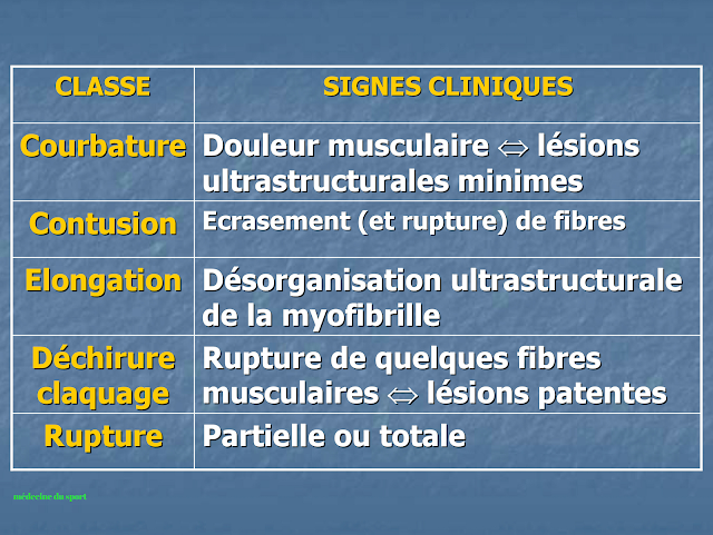 LESIONS MUSCULAIRES