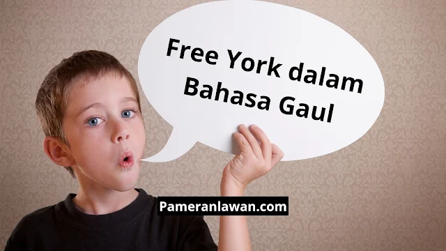 free york artinya bahasa gaul
