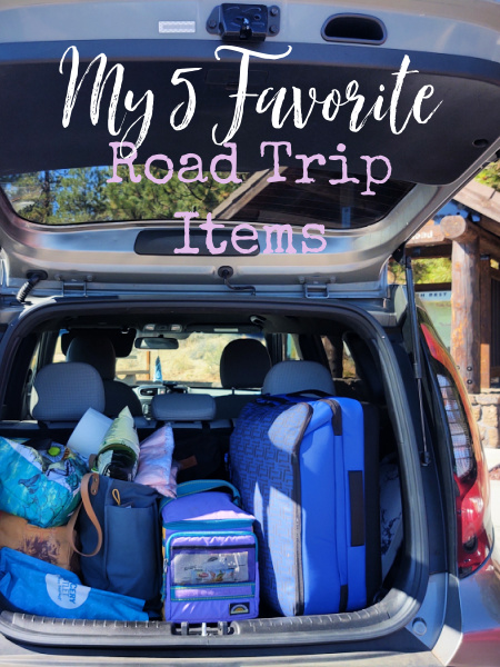 I have a few items that I always take with me on a road trip, whether it's 6 hours or several days in the car.