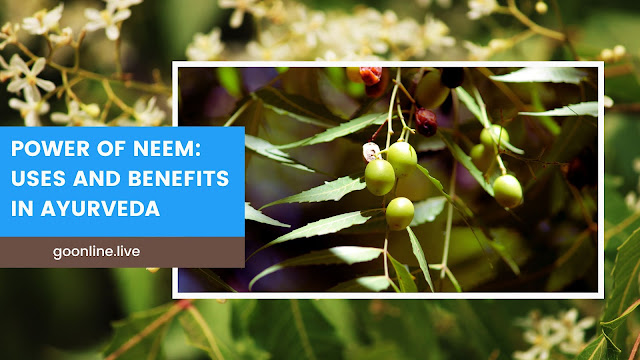 Neem: Uses and Benefits in Ayurveda