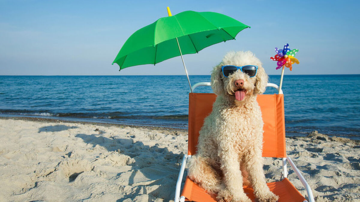 Playas con Perros en Barcelona