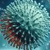 Qué es la enfermedad X: la OMS advierte que es 20 veces más mortal que el Coronavirus
