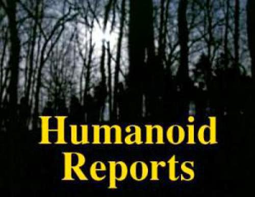 Humanoid Researcher And Archivist Albert Rosales