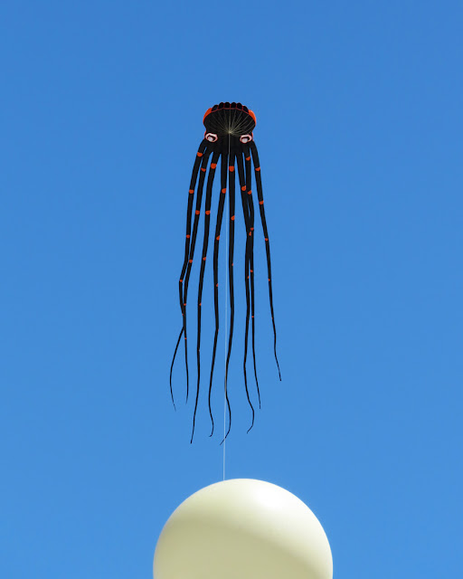 An impressive kite flying at the Terrazza Mascagni, Livorno