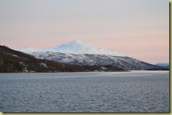 Tree Line near Tromso