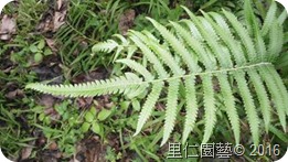 clip_image002[29]