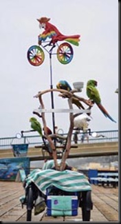 Birds on Bike
