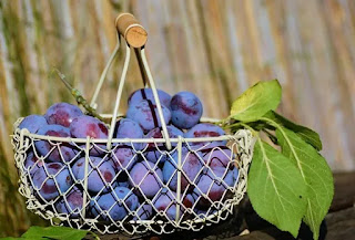 plums fruit