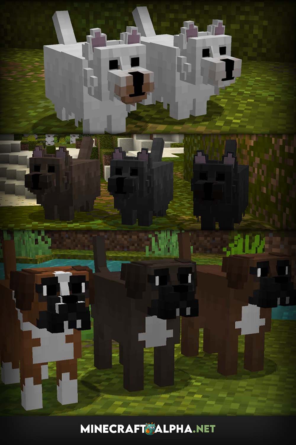 Minecraft Better Dogs Resource Pack 1.19, 1.18.2, 1.17.1 (New Animal Skins)