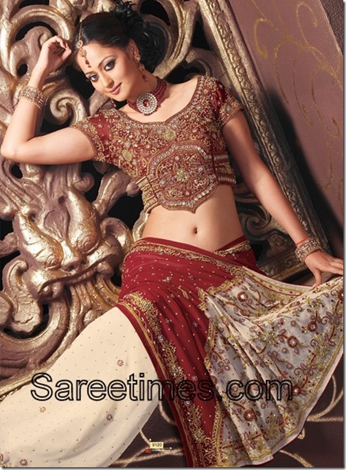 BridalSareeBlouseDesigns Model displaying beautiful embroidery saree 