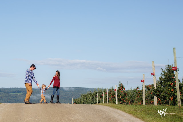 MJD Photography, Martha Duffy, Maternity Family Session, Allyson's Orchard, Walpole, NH, New Hampshire