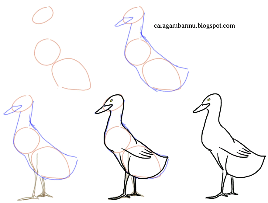  Cara  dan Teknik  Menggambar  untuk  Pemulacara menggambar  