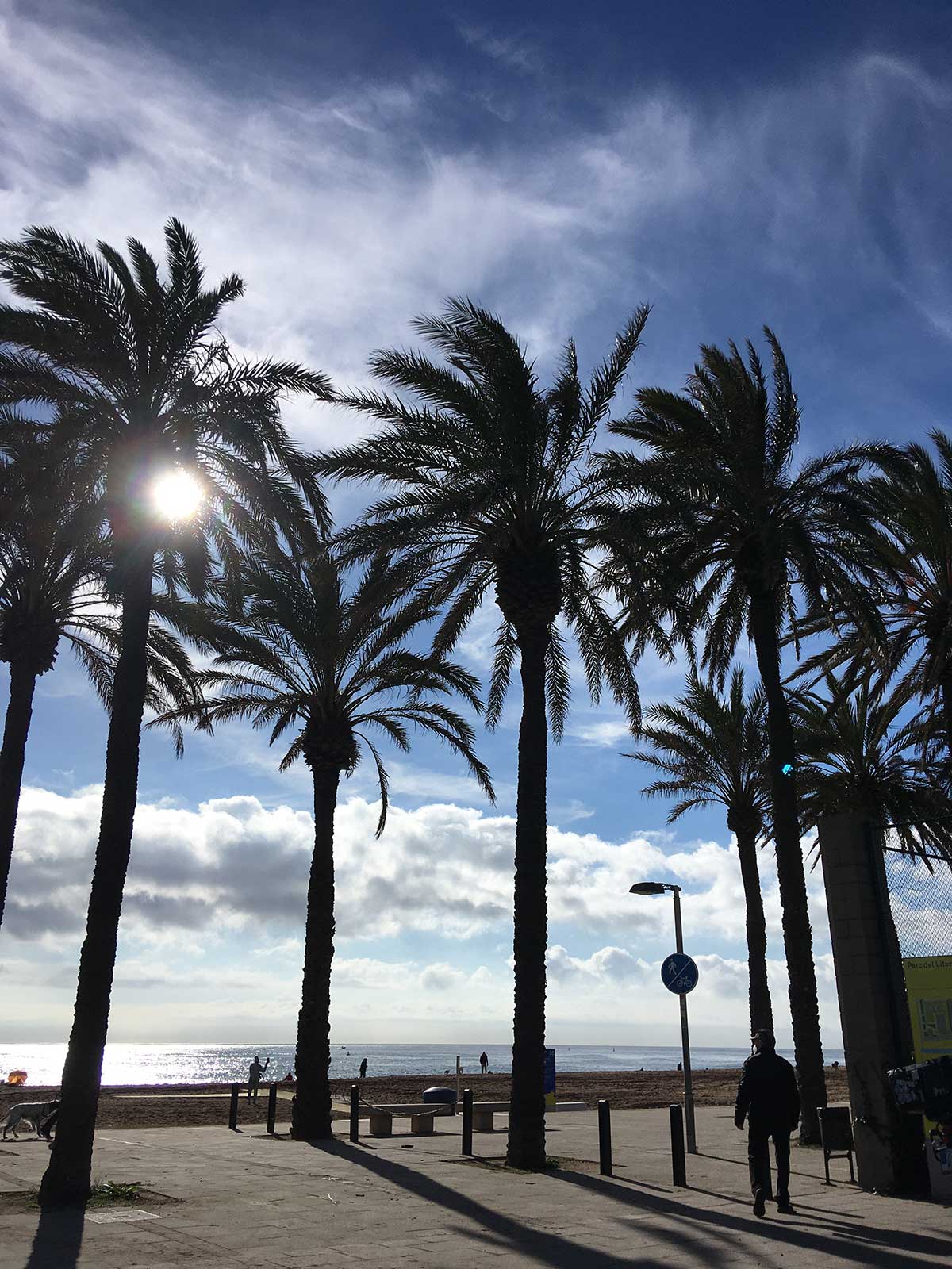 Palmeras en la playa de Sant Adrià