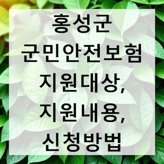 홍성군 군민안전보험