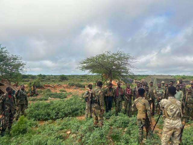 Community Power: Macawisley Militia Drives Al-Shabaab Out of Mahaday
