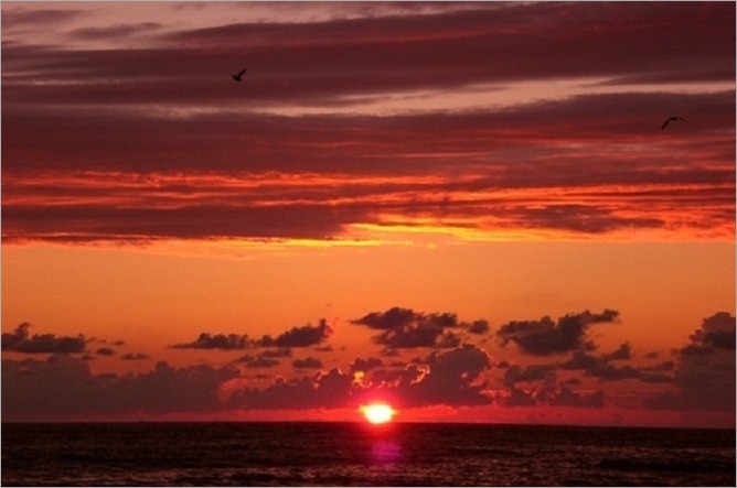 Horizon_Line_07