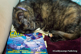 Real Cat Paisley reviewing a cat-themed graphic novel--or sleeping on the job?