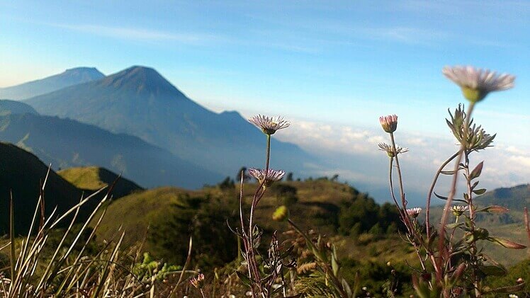 Kumpulan Puisi Pendaki Gunung yang Menginspirasi - Menit info