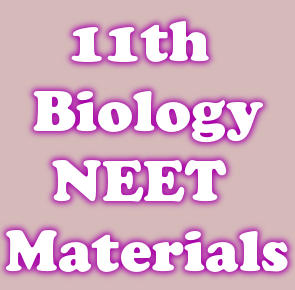 11th Biology model Question paper with Answer 2017 | NEET Exam Material: