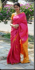 swathi in  pattu  saree