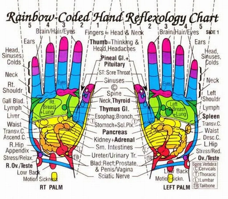 My own thoughts Acupressure (Reflexology) Charts Collection