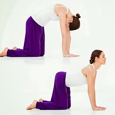stomach gas and flatulence: Yoga-A CURE for stomach gas ...