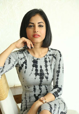 priya banerjee cute Stills in Asura Movie