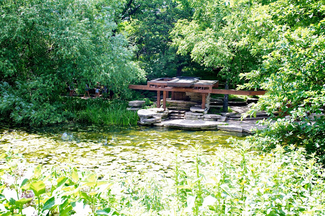 Alfred Caldwell Lily Pool, Chicago - Tammy Sue Allen Photography