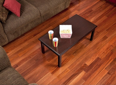 Get Wamrth and Beauty Living Room Designs with Hardwood Floors