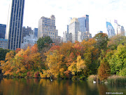 Here are photos taken in Central Park in November 2006. (central park fall )