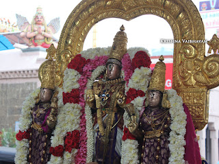 Sri Theliya Singar,Purattasi, second, sanivaram,Parthasarathy Perumal Temple,Purappadu,2016, Video, Divya Prabhandam,Sri Parthasarathy Perumal, Triplicane,Thiruvallikeni,Utsavam,