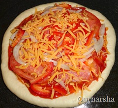 Pizza (16)