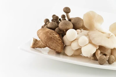 Mushroom Supplier Company in Tiruchirappalli