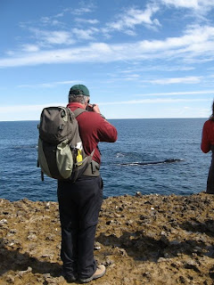 Trekking. Puerto Piramides. Peninsula Valdes.Observacion de Ballenas y Naturaleza. Nature Trek. Whale and Wildlife watching.